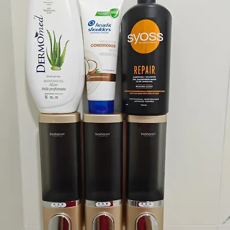 Vasil Gjika 3 *
