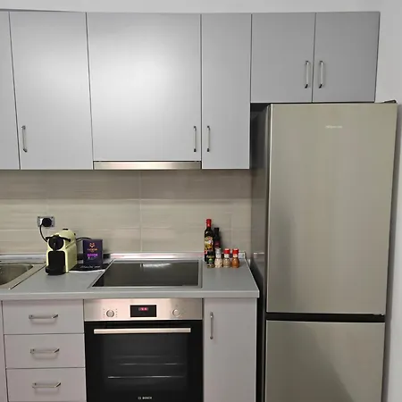 Apartment Vasil Gjika 3 *